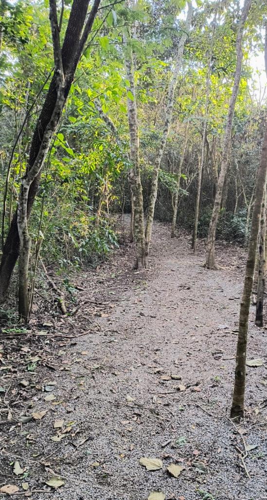 &lsquo;Educa&ccedil;&atilde;o Ambiental nas F&eacute;rias&rsquo; abre inscri&ccedil;&otilde;es para programa&ccedil;&atilde;o gratuita voltada &agrave;s crian&ccedil;as 04