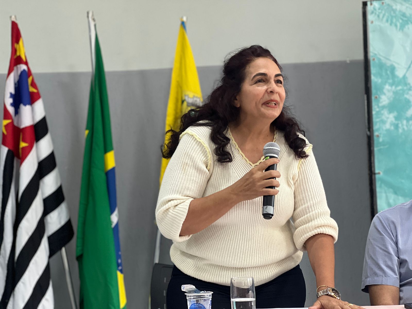 Posse Conselho Municipal dos Direitos das Mulheres 04