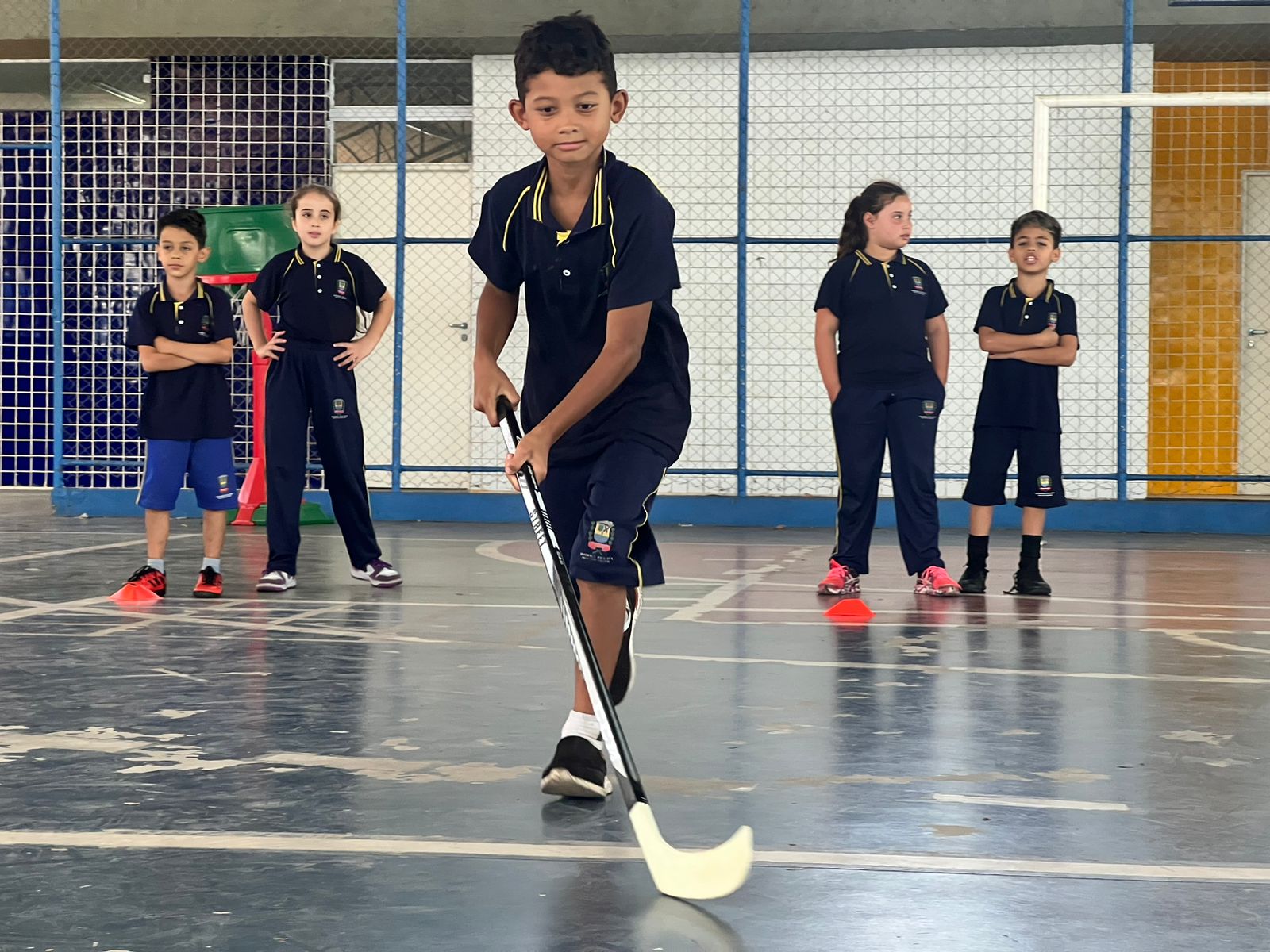 Hóquei no Gelo - Brasil Escola