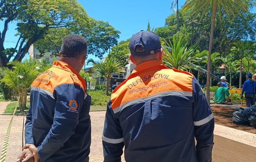 Secretaria de Servi&ccedil;os realiza retirada preventiva de &aacute;rvores na Pra&ccedil;a Jos&eacute; Bonif&aacute;cio (4)