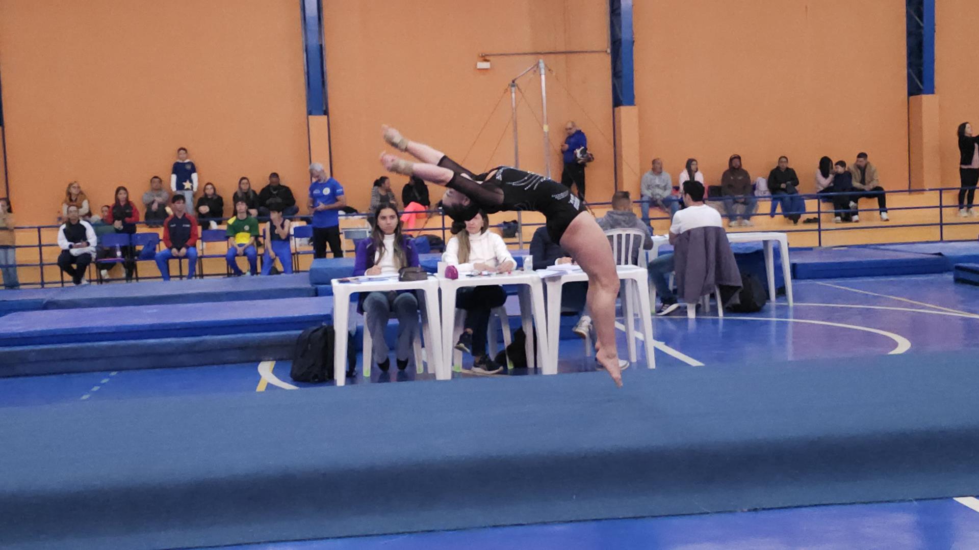 Gin&aacute;stica art&iacute;stica pentacampe&atilde; 02