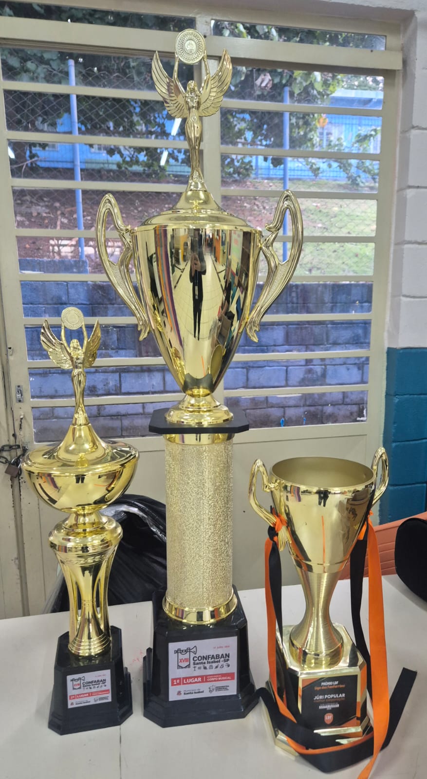 Banda Marcial Municipal de Bragan&ccedil;a Paulista conquista pelo segundo ano consecutivo premia&ccedil;&otilde;es n (5)