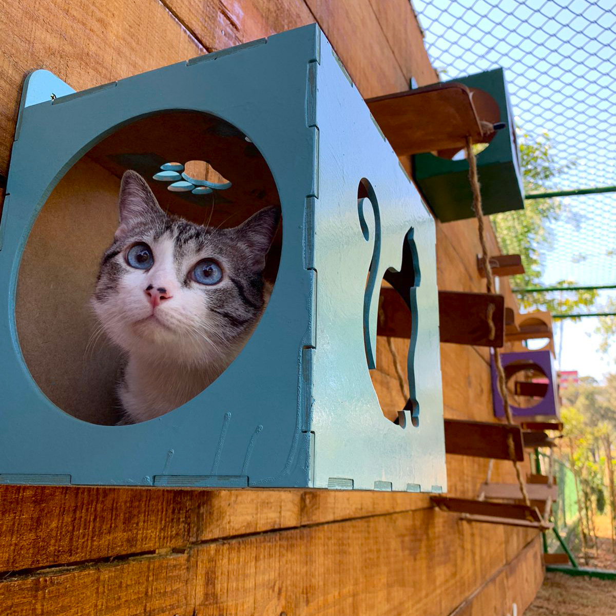 Espaço PET é inaugurado no Lago do Taboão (10)