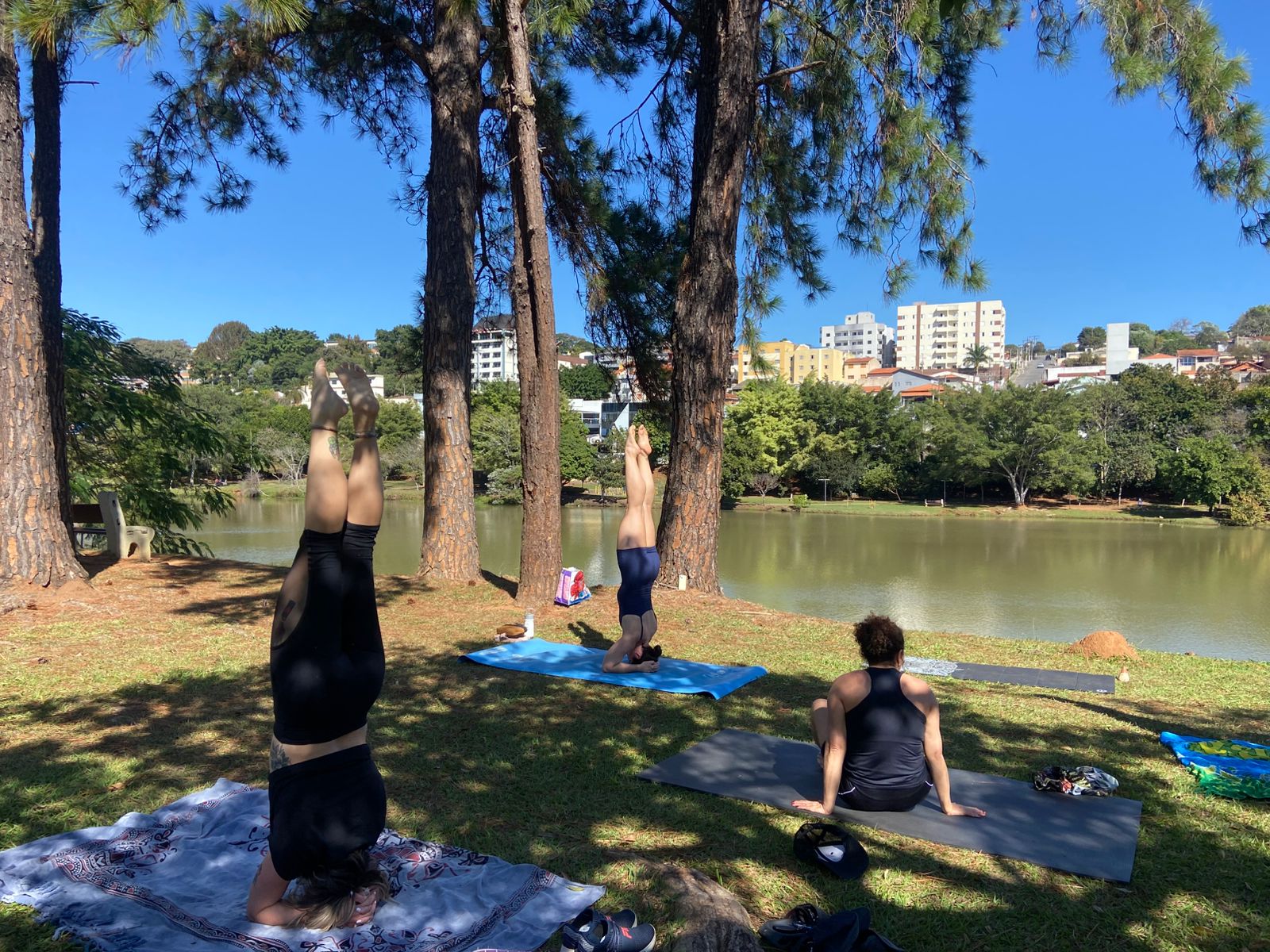 Junho VerdeAzul 2025 (3)