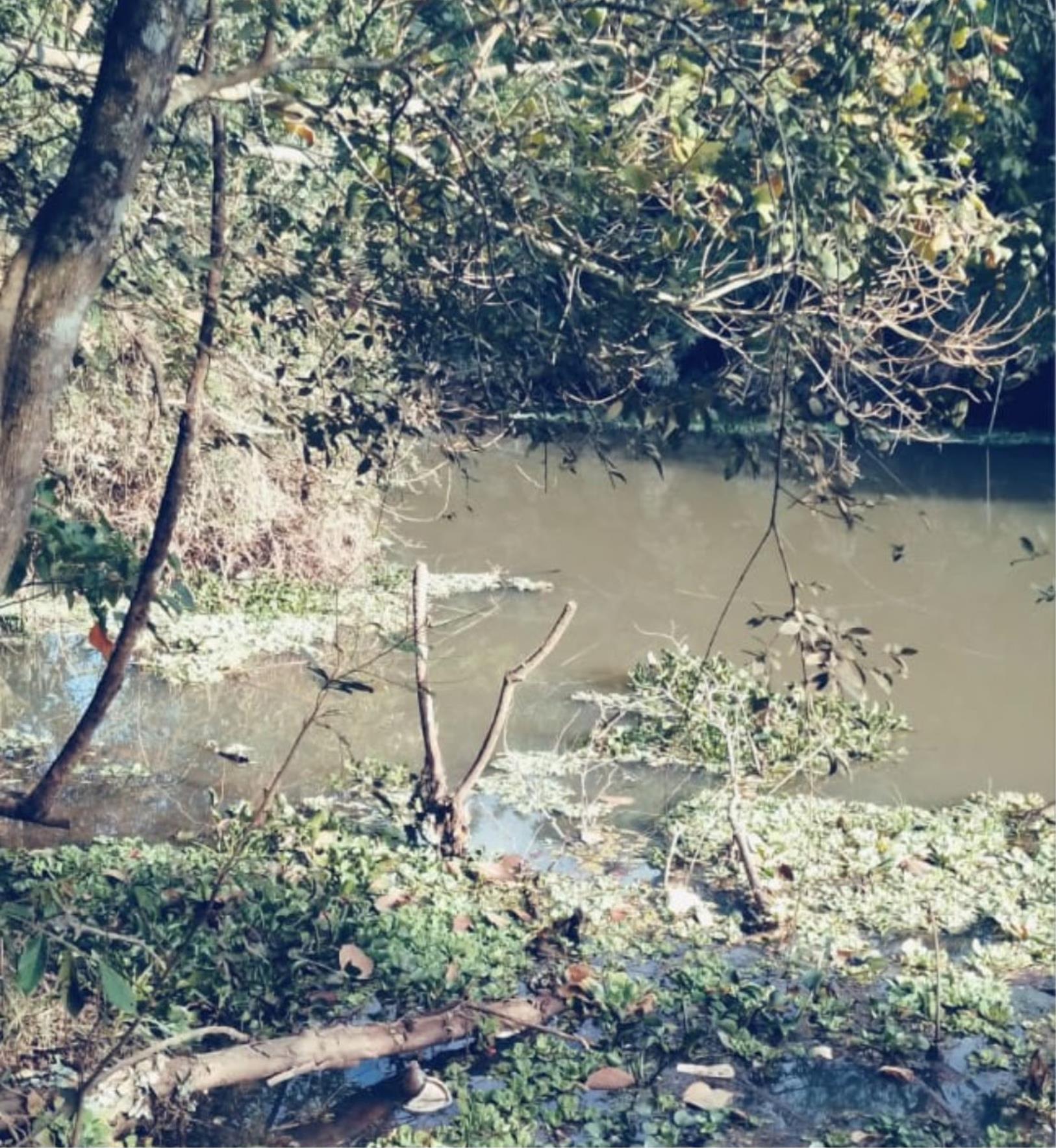 &lsquo;Educa&ccedil;&atilde;o Ambiental nas F&eacute;rias&rsquo; abre inscri&ccedil;&otilde;es para programa&ccedil;&atilde;o gratuita voltada &agrave;s crian&ccedil;as 05