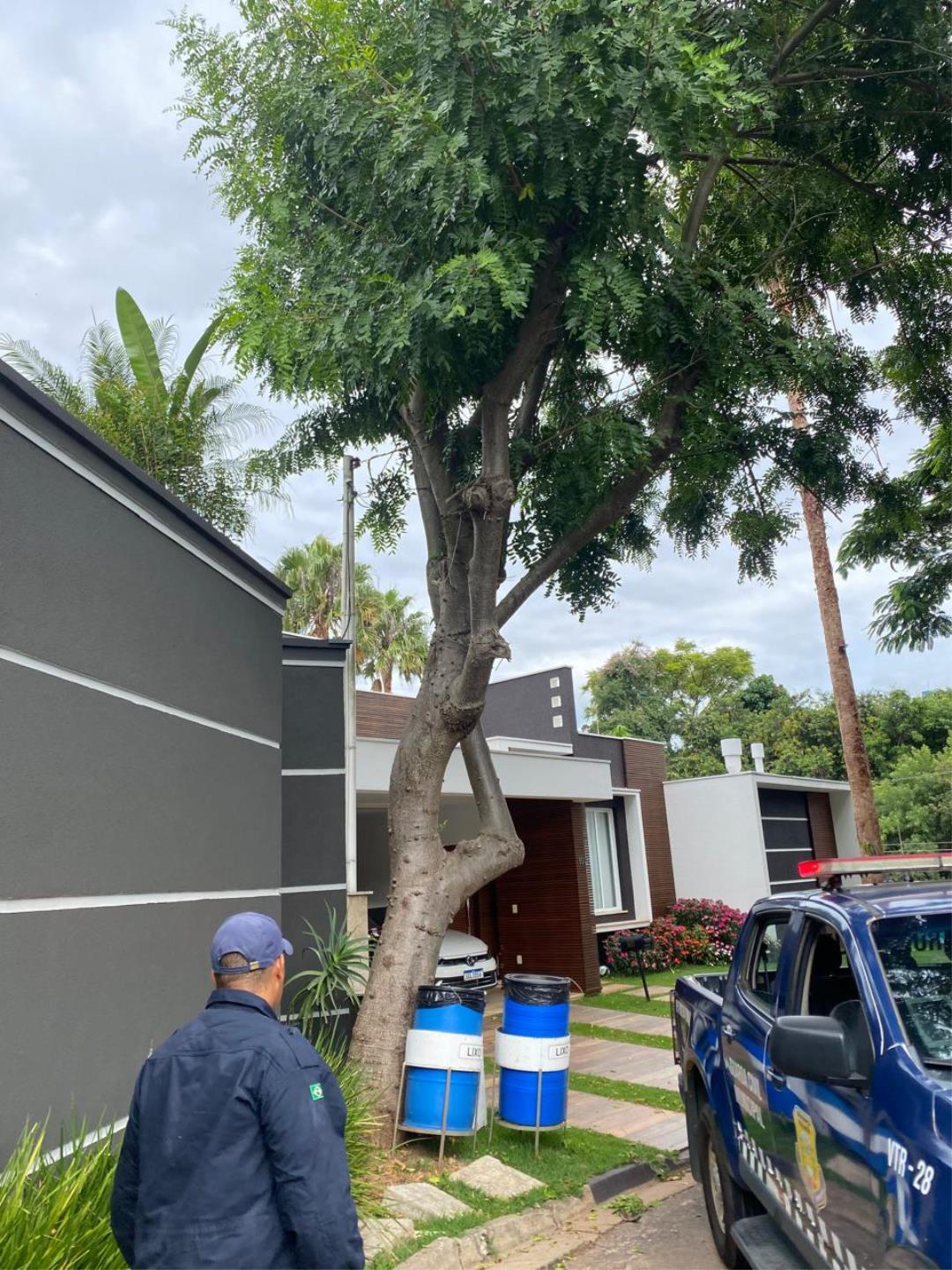 Monitoramento e ação rápida marcam rotina de proteção no município Foto 05