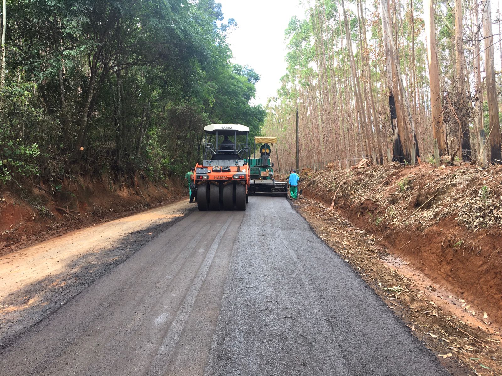 Fernando Frias Fernandes4