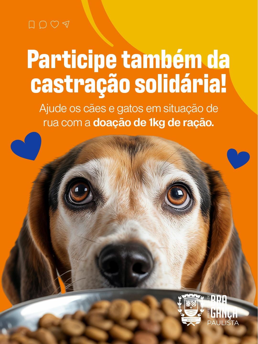 WhatsApp Image 2026-04-07 at 10.14.09 (2)