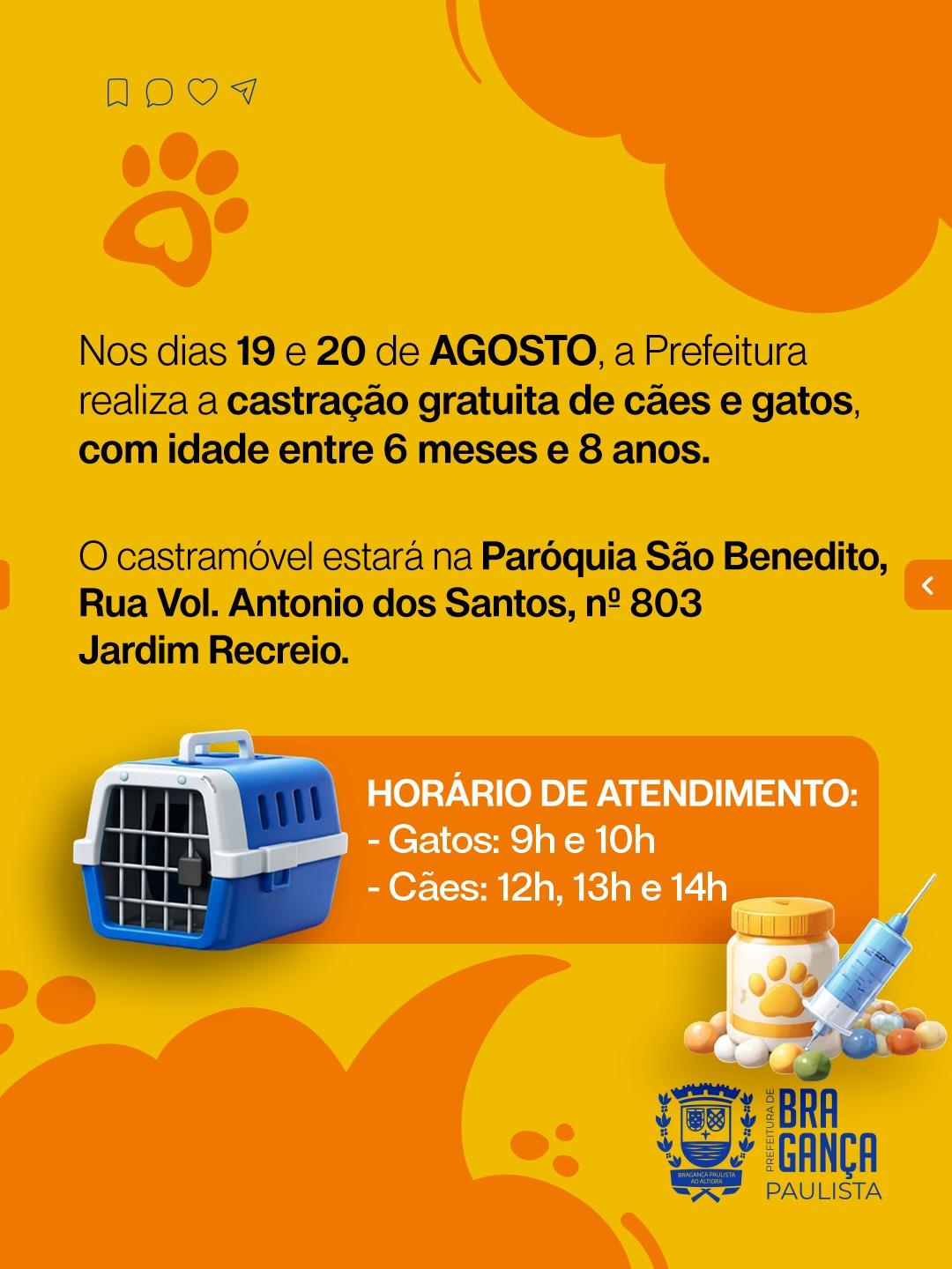 WhatsApp Image 2026-08-07 at 14.13.02(1)