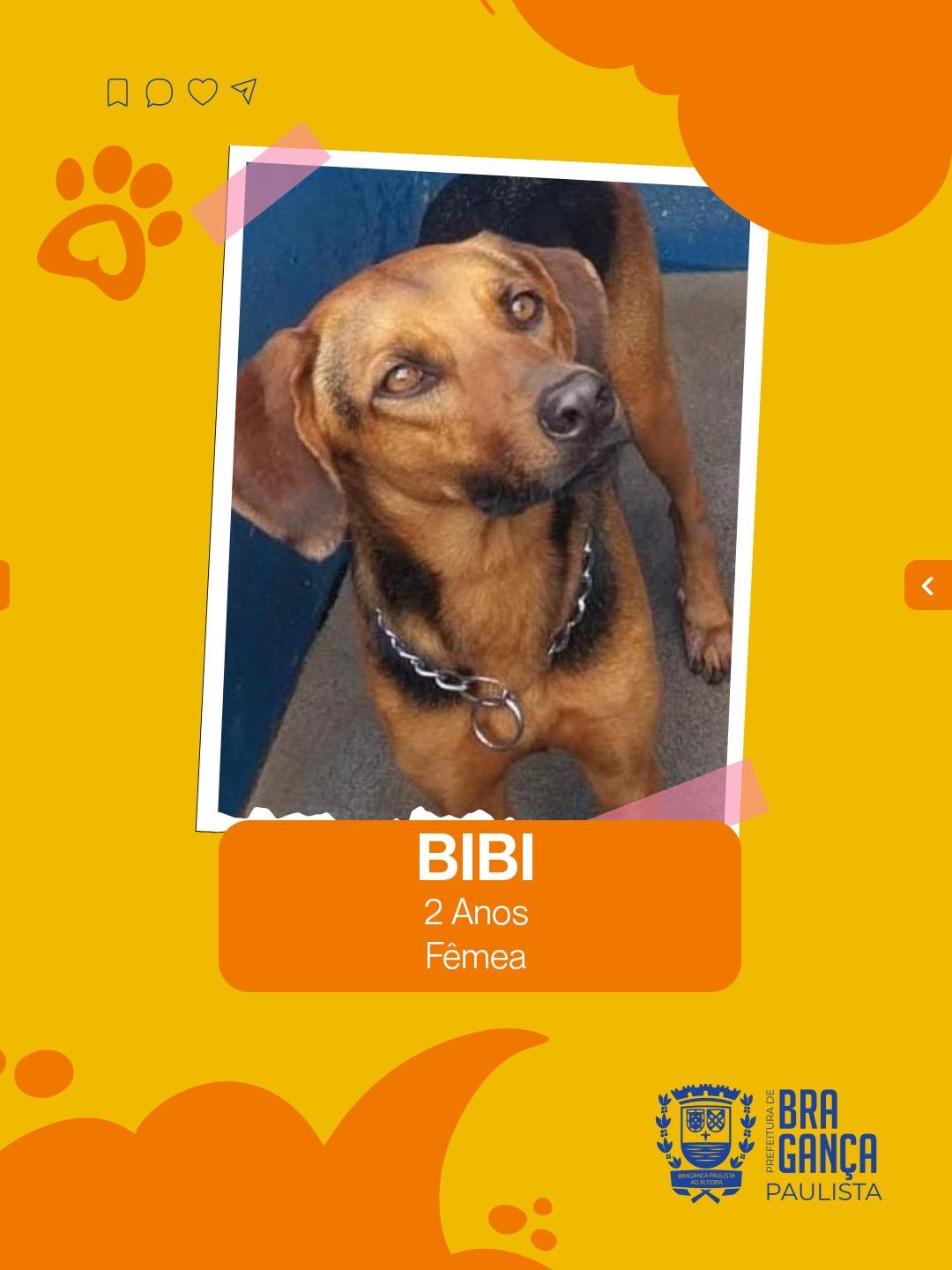 WhatsApp Image 2026-02-20 at 15.05.52