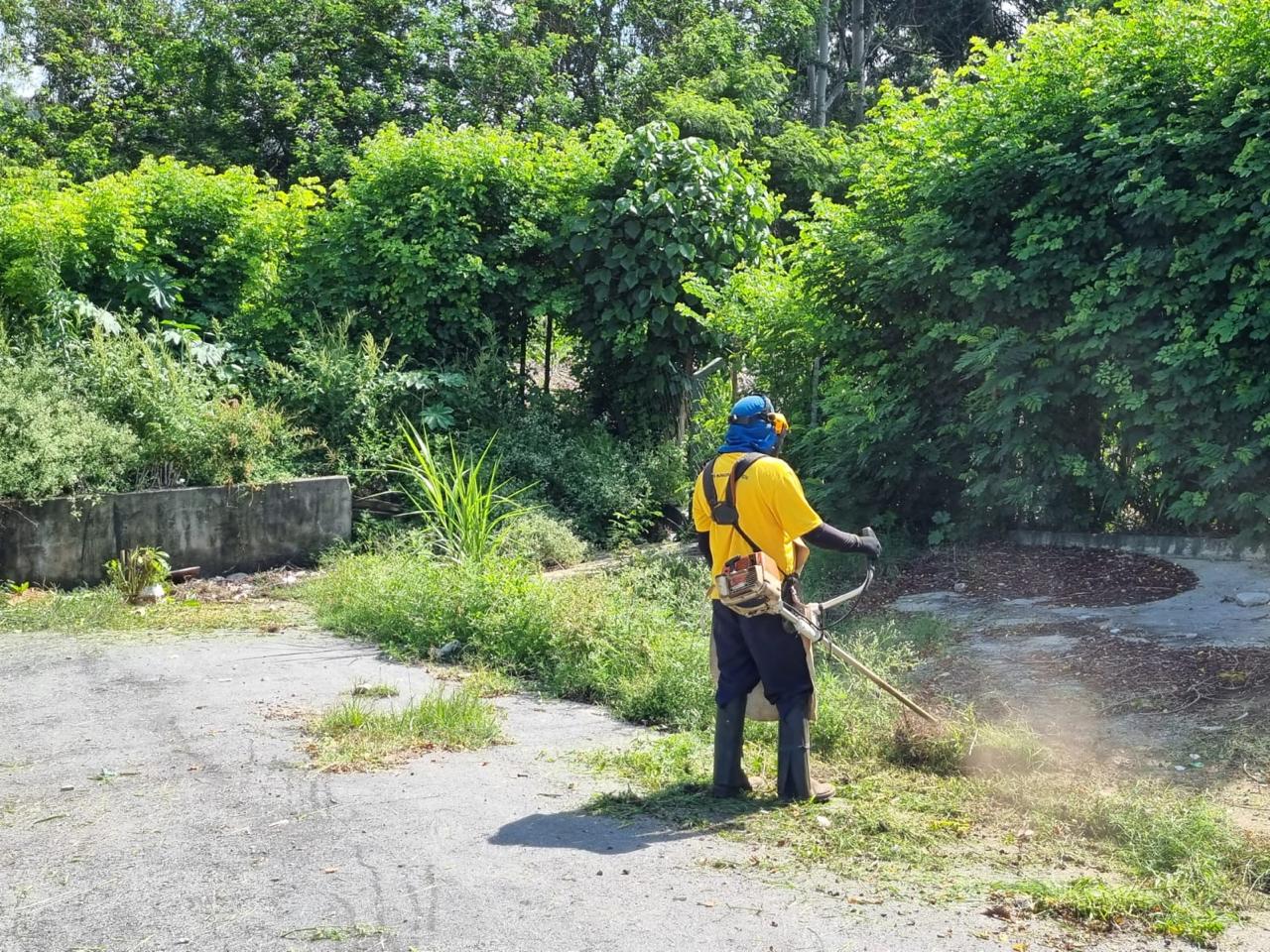 Prefeitura de Bragan&ccedil;a por meio das zeladorias municipais intensificam os servi&ccedil;os d