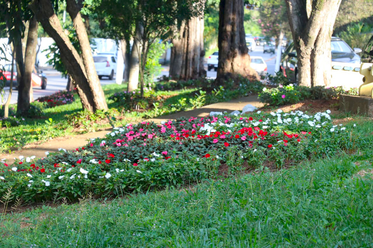 30.03.2022 Paisagismo da cidade (5)