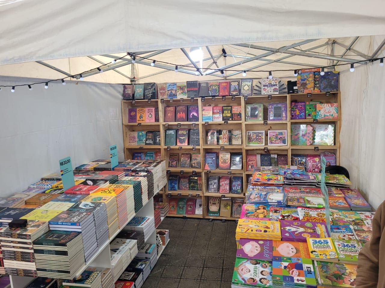 Bienal Regional do Livro transforma o Lago do Taboão em um Natal Fantástico de cultura e imaginação (6)