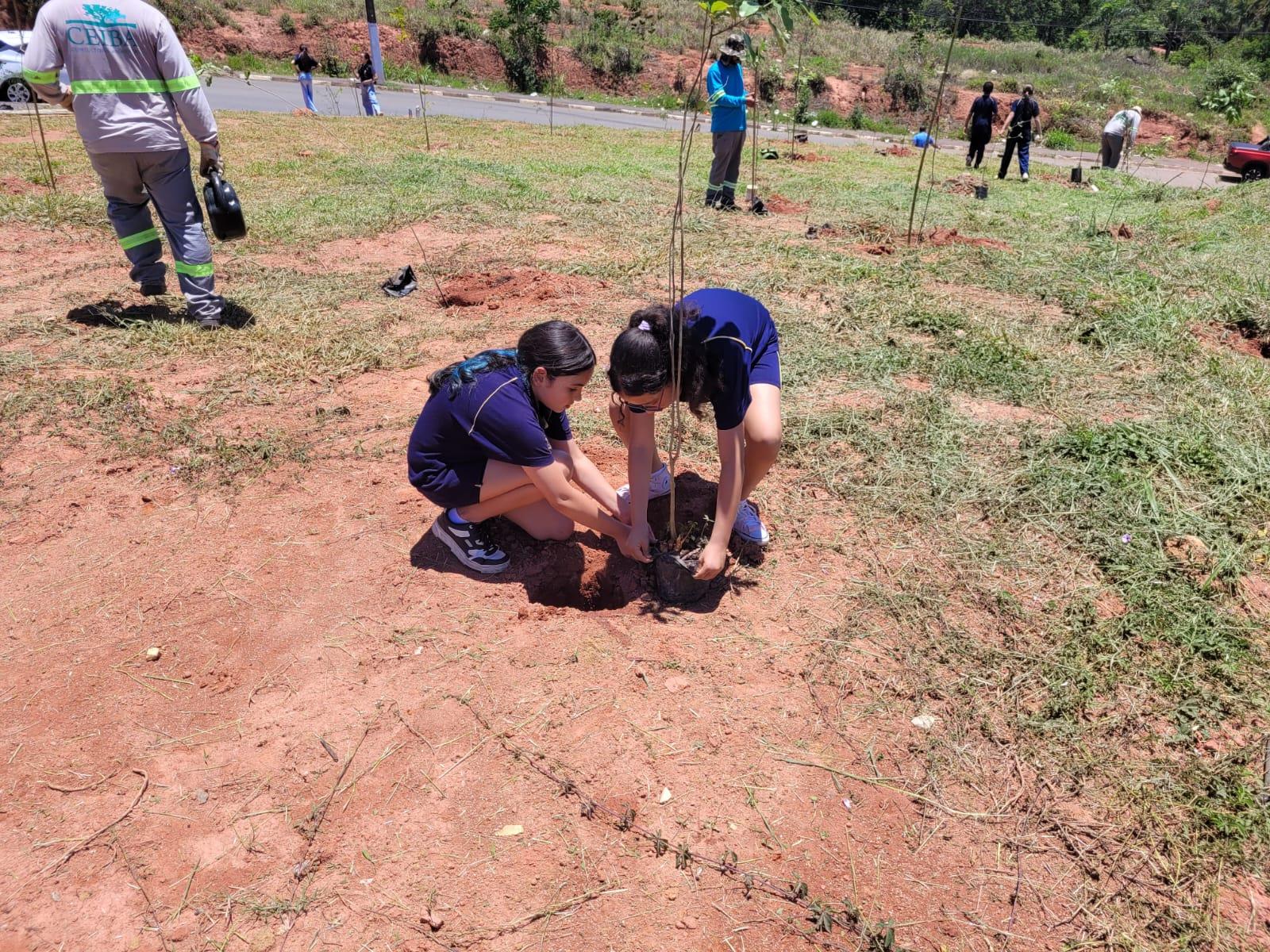 Bragança Paulista realiza plantio de 385 mudas no Hípica Jaguari em ação de compensação ambiental (6)