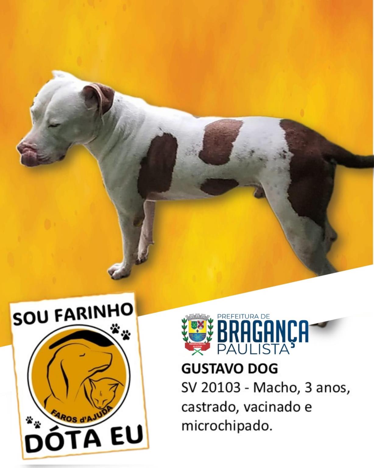 Mais do que adoção, um compromisso de amor (4)