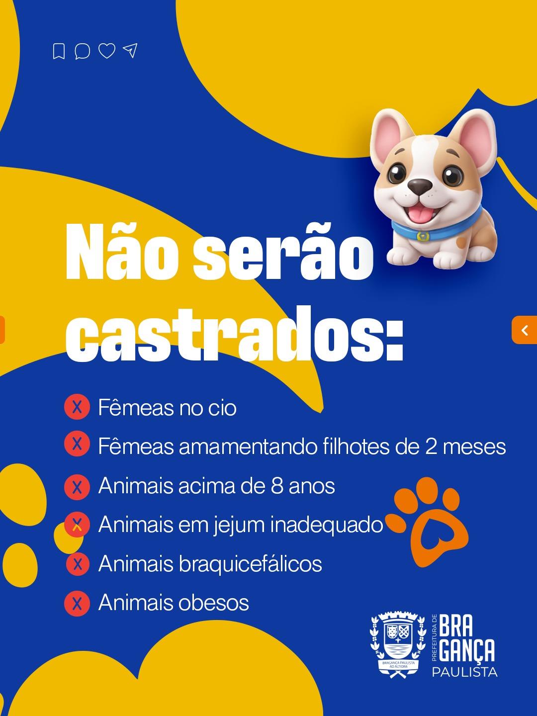 WhatsApp Image 2026-04-07 at 10.14.09