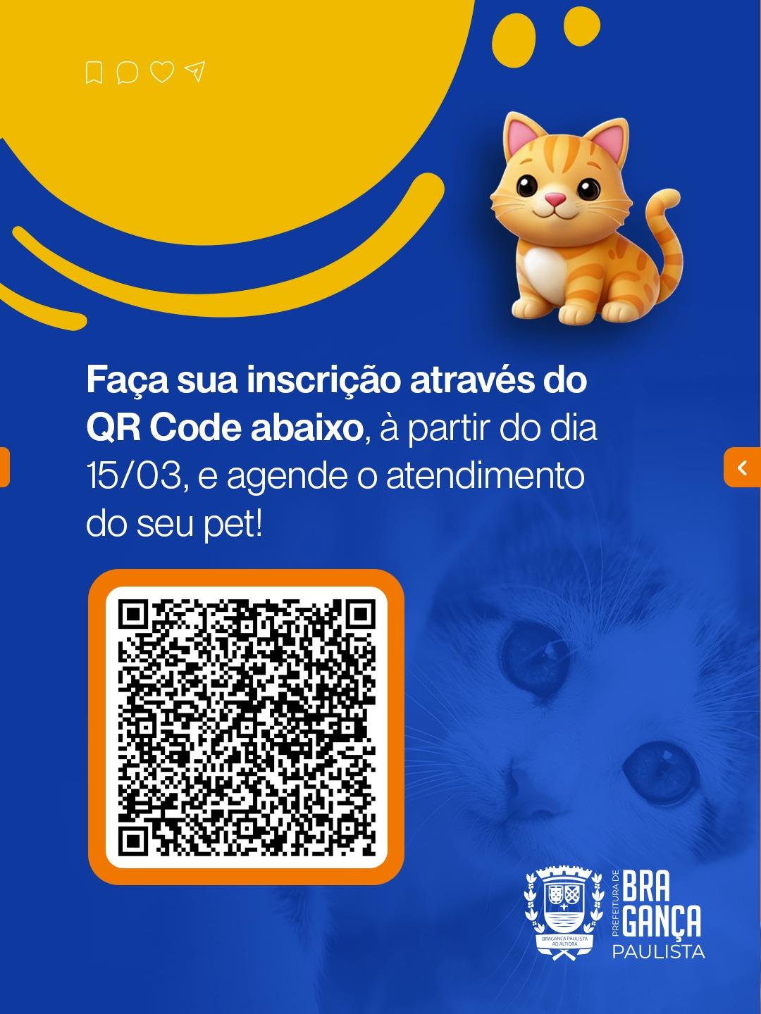 WhatsApp Image 2026-03-11 at 13.06.56