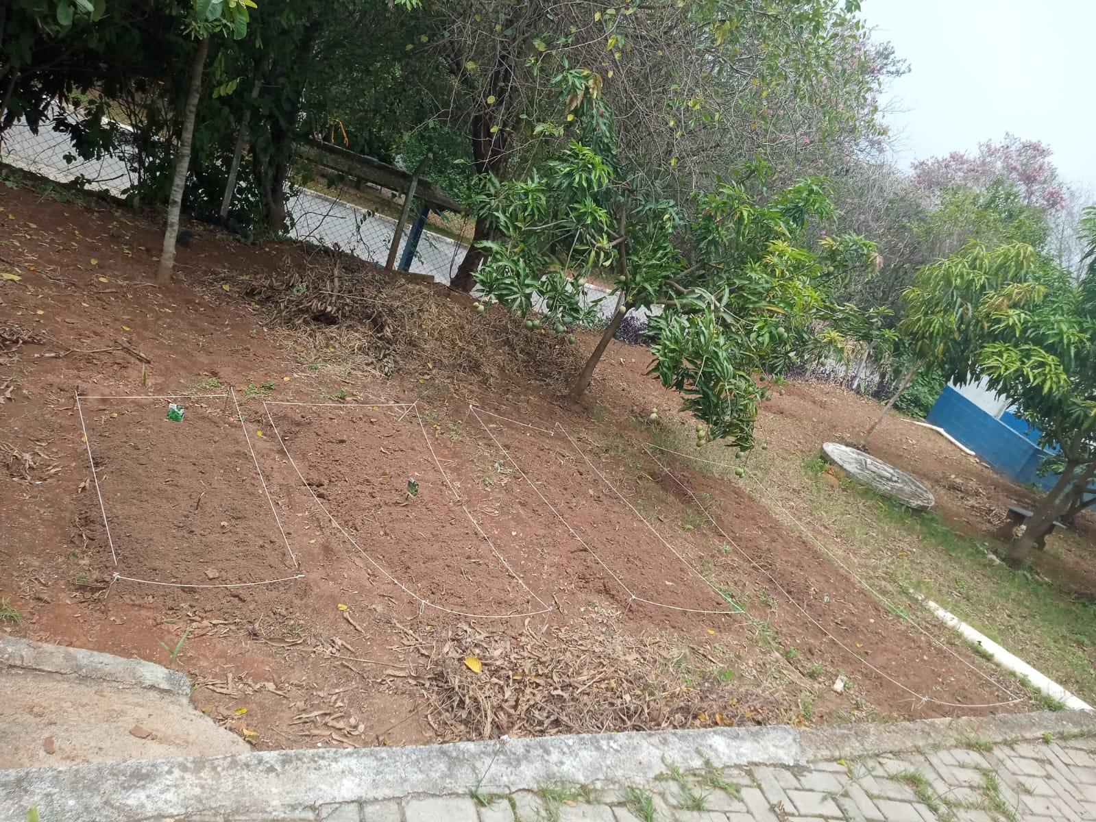 SEMADS executa projeto de Horta Socioeducativa para Pessoas em Situa&ccedil;&atilde;o de R