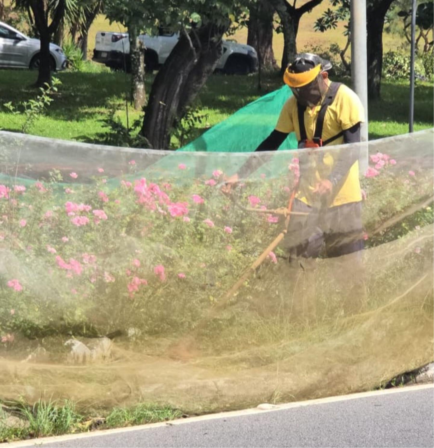 Roçada Avenida Imigrantes