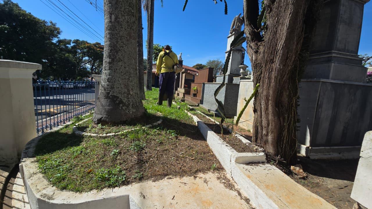 Secretaria Municipal de Serviços intensifica limpeza, fumacê e controle de pragas no Cemitério da Saudad (7)