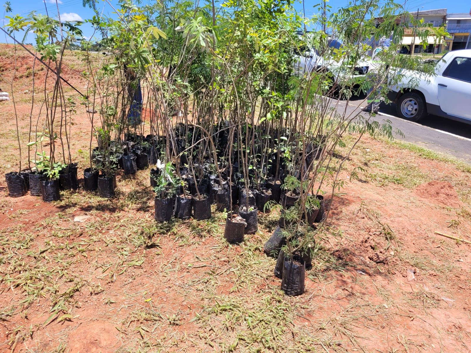 Bragança Paulista realiza plantio de 385 mudas no Hípica Jaguari em ação de compensação ambiental (7)