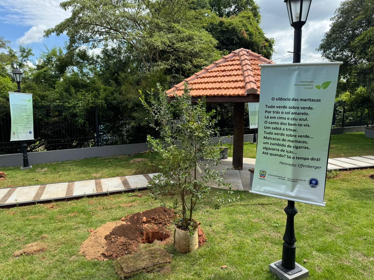 Centro de Educa&ccedil;&atilde;o Socioambiental Sala Verde Pindorama (6)
