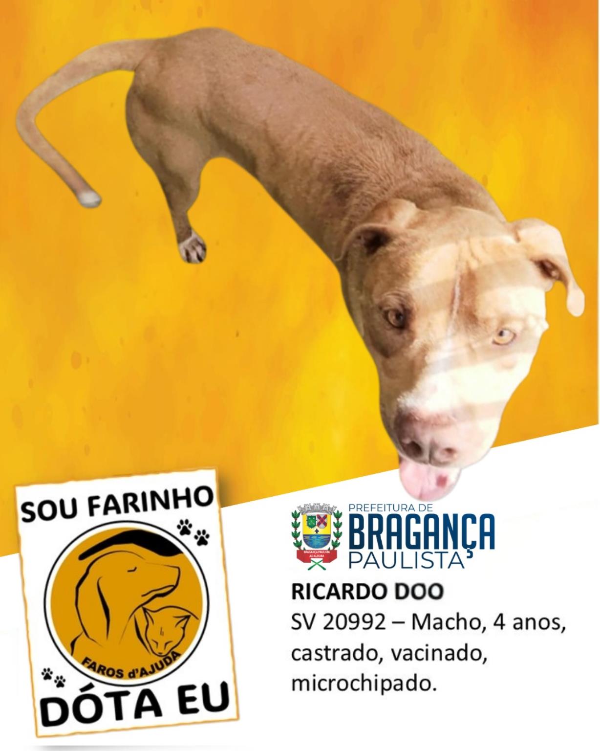 Mais do que adoção, um compromisso de amor (5)