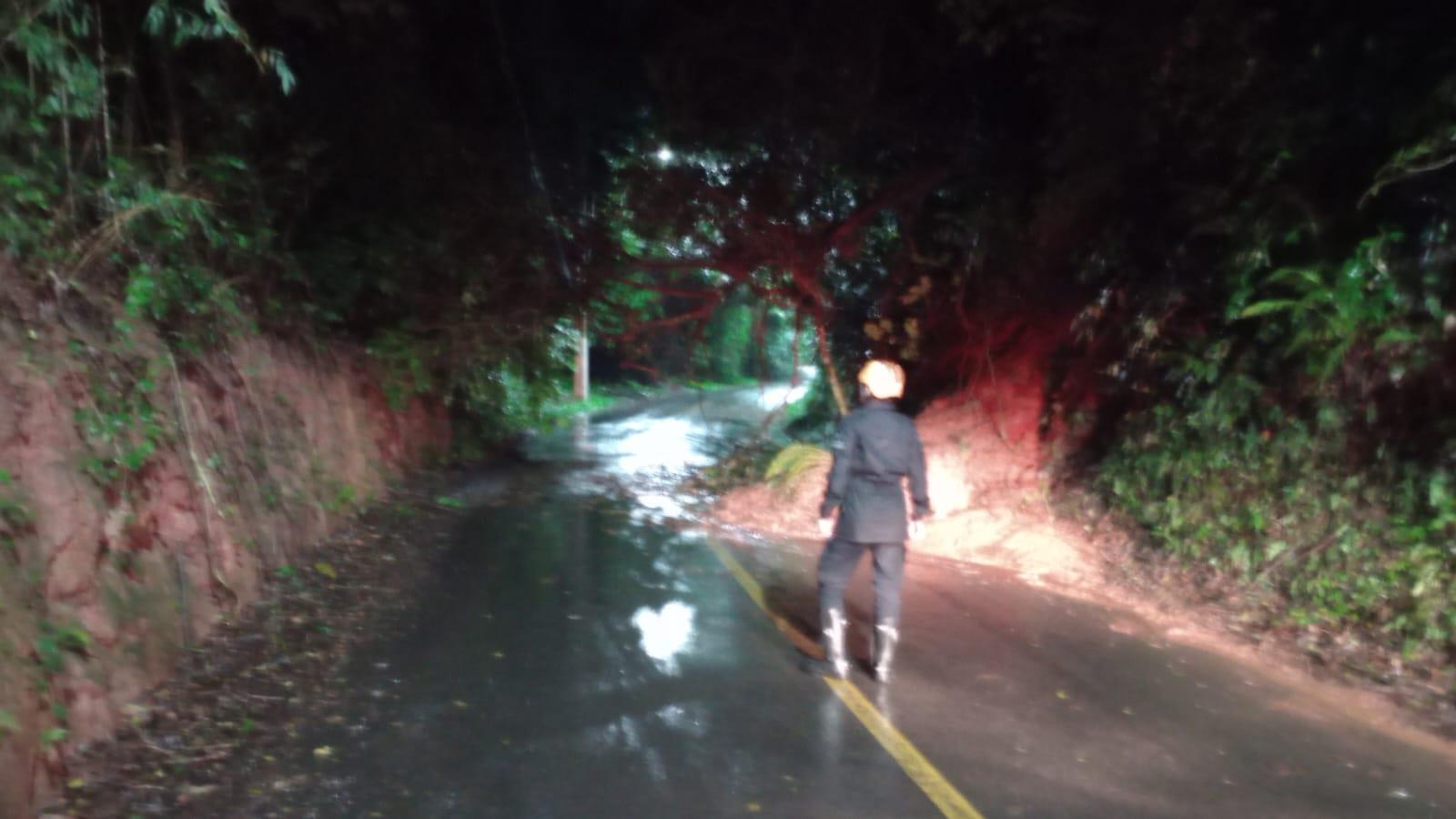 AVENIDA SALVADOR MARKOWICZ 2