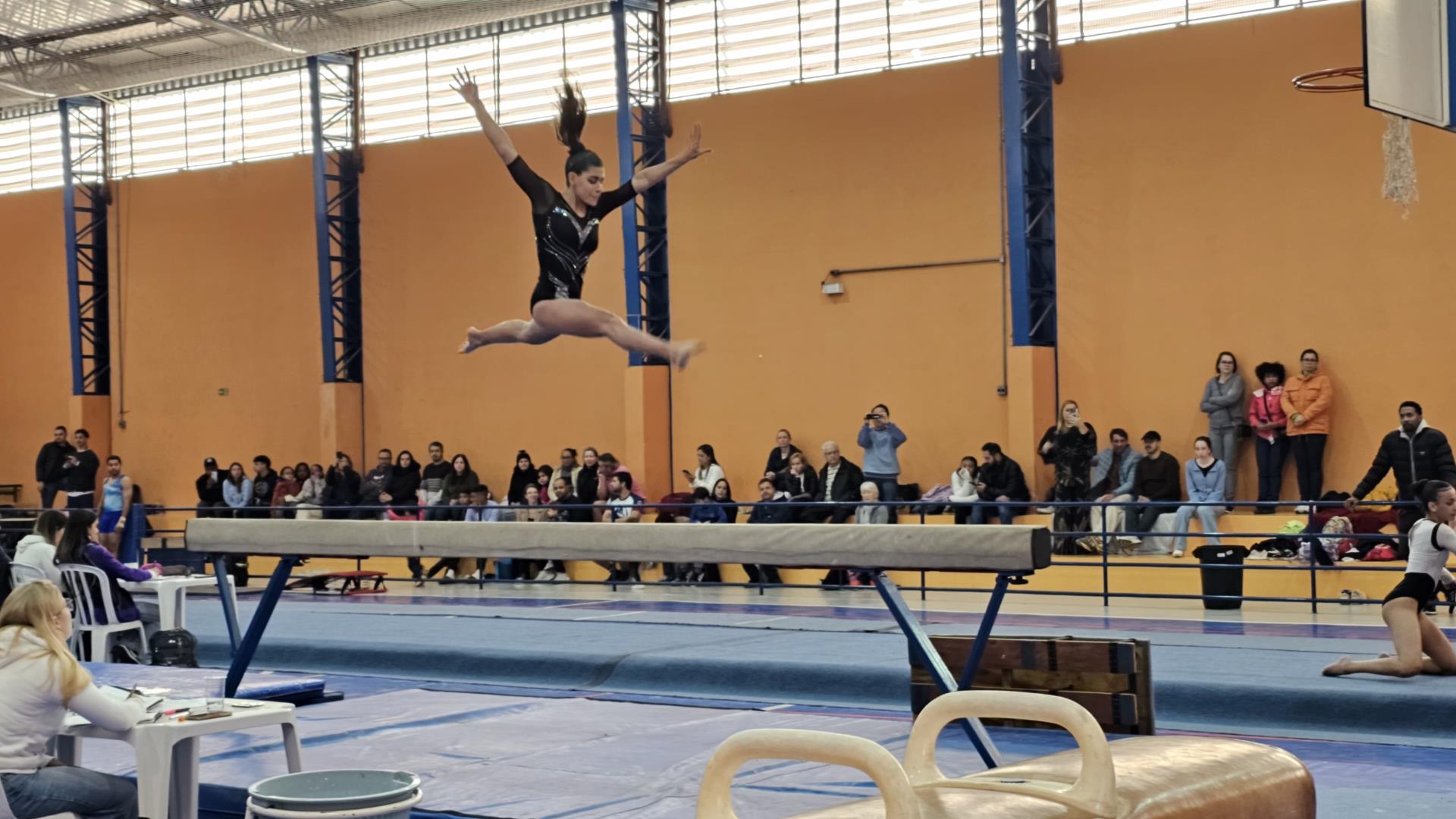 Gin&aacute;stica art&iacute;stica pentacampe&atilde; 05