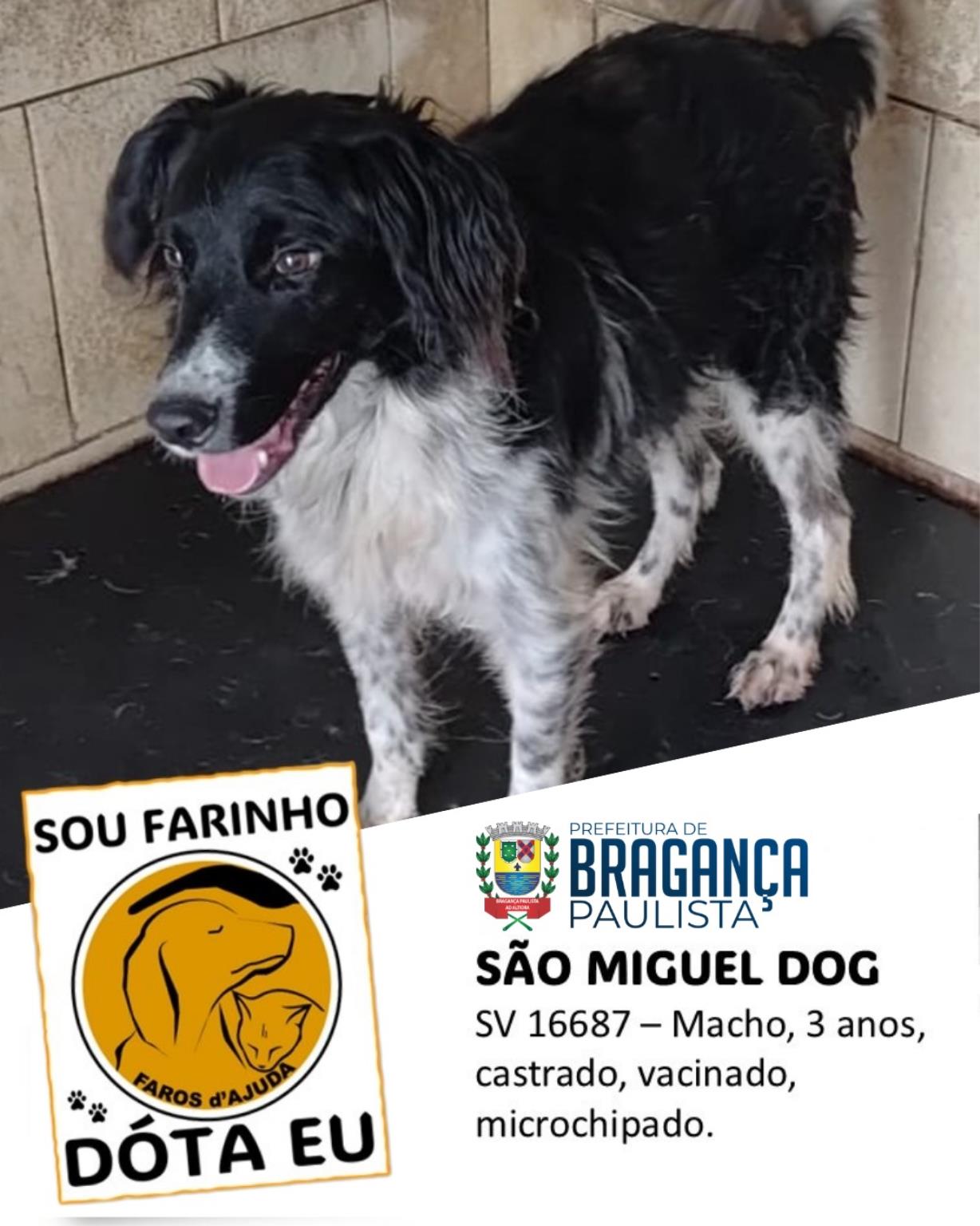 Mais do que adoção, um compromisso de amor (6)