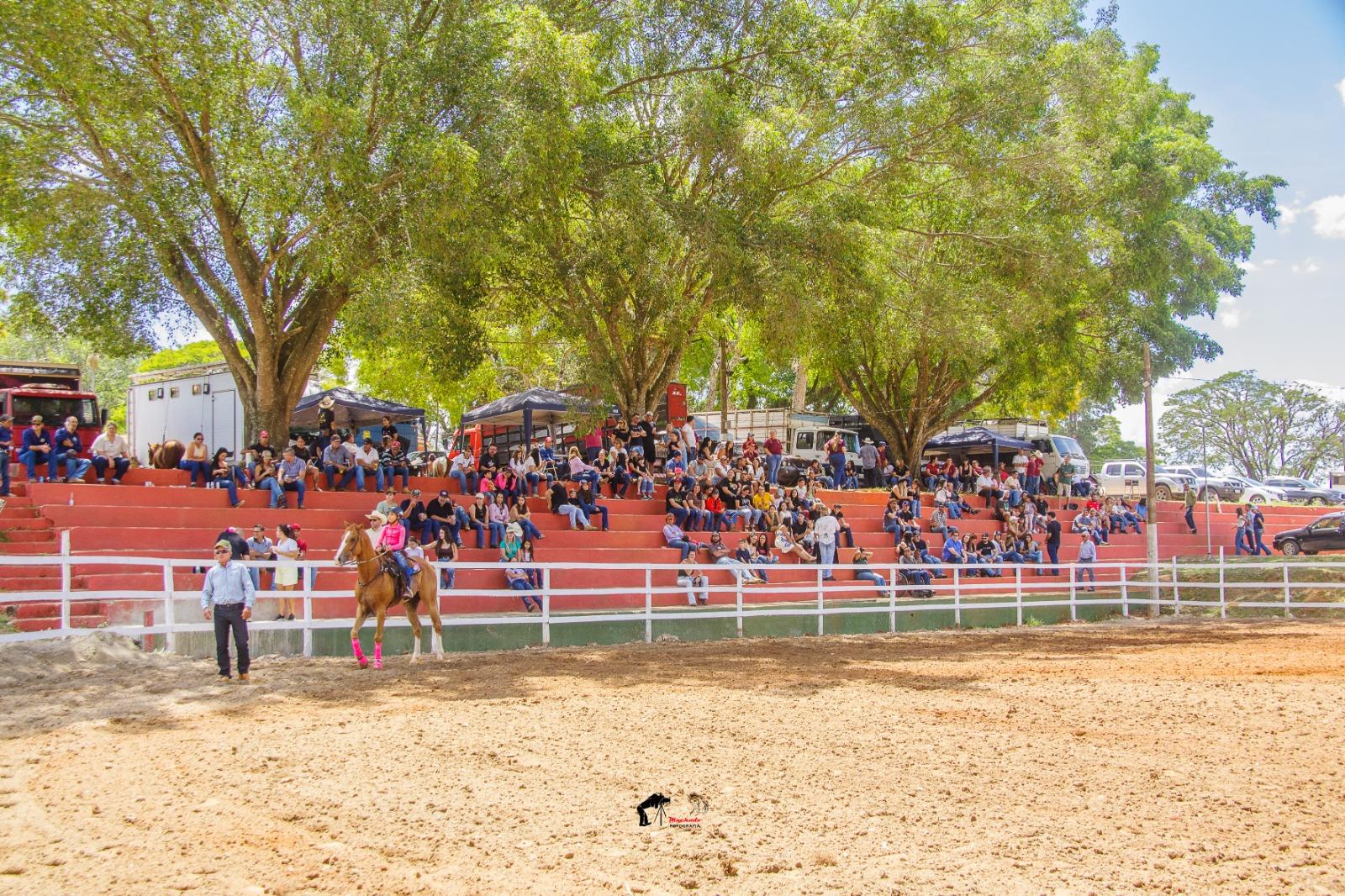 &Uacute;ltima etapa do 4&ordm; Campeonato de Cavalo Quarto de Milha movimenta o Posto de Monta neste s&aacute;bado (1114)