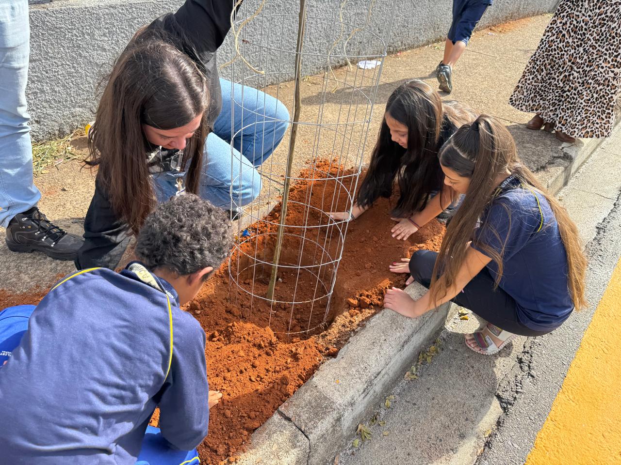 Junho VerdeAzul 2025 (7)