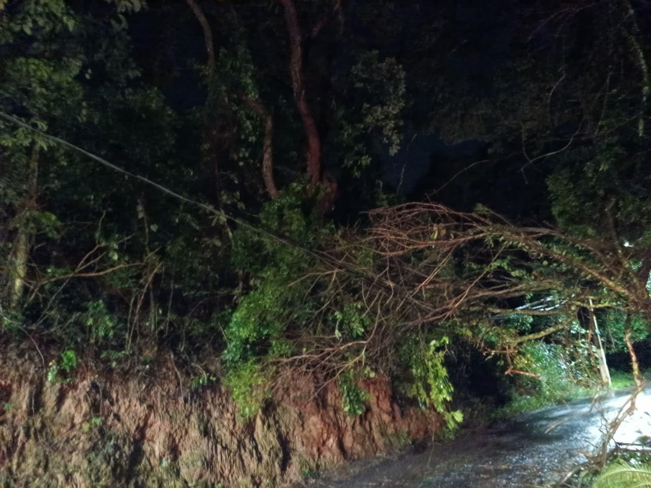 BAIRRO CURITIBANOS 1