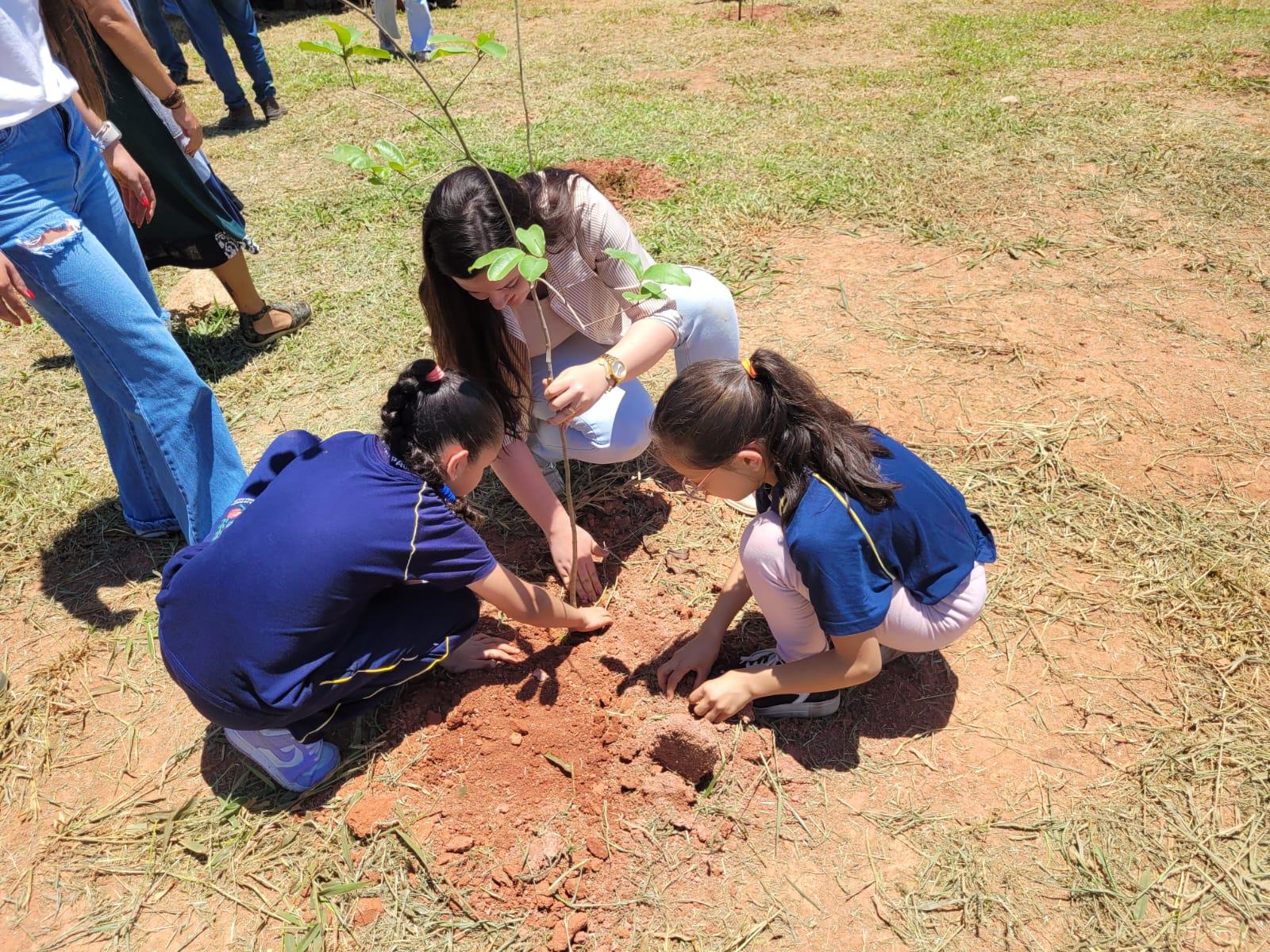 Bragança Paulista realiza plantio de 385 mudas no Hípica Jaguari em ação de compensação ambiental (10)