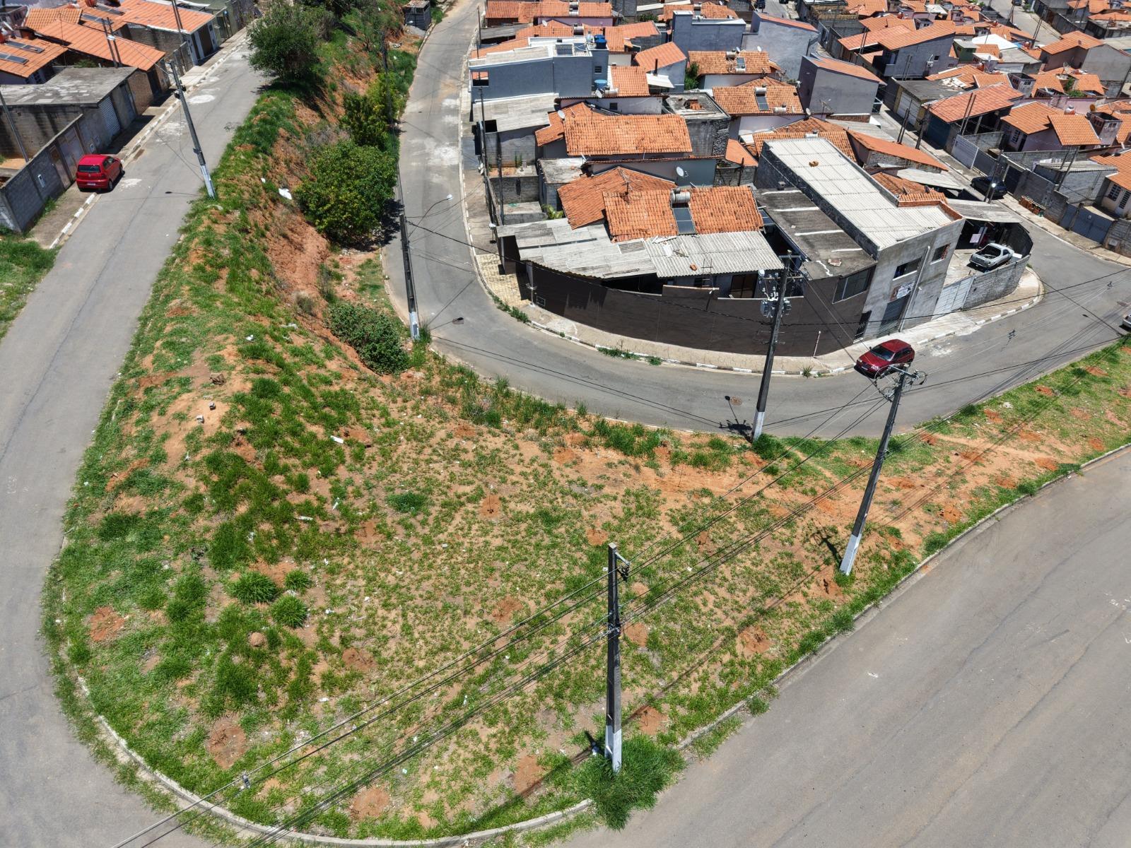 Bragança Paulista realiza plantio de 385 mudas no Hípica Jaguari em ação de compensação ambiental