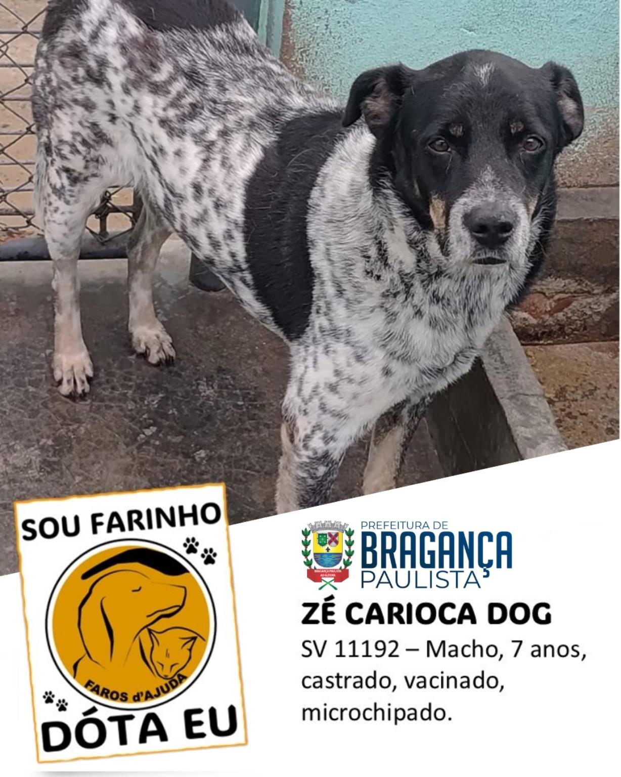 Mais do que adoção, um compromisso de amor (9)