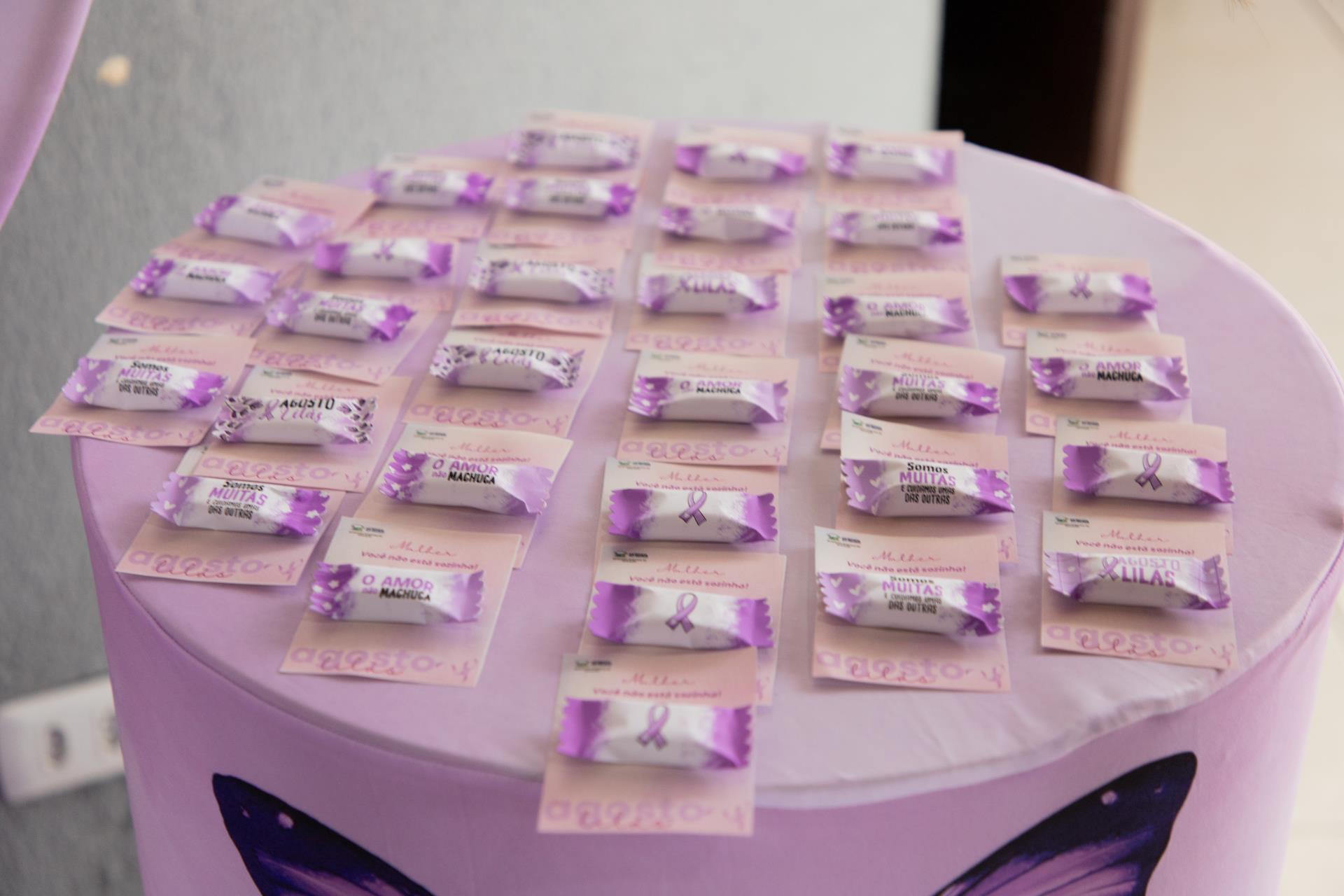 CAMPANHA MARIA DA PENHA VAI À ESCOLA (27-08-2025)-10