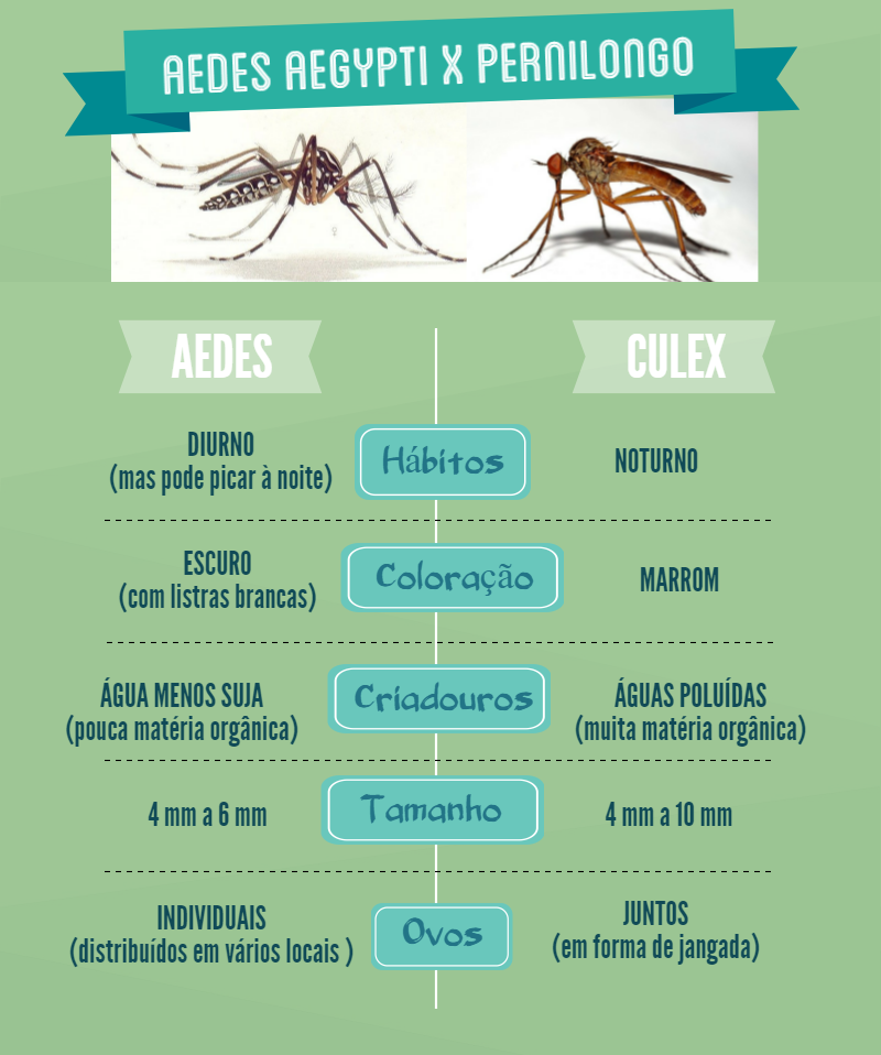 aedes_0
