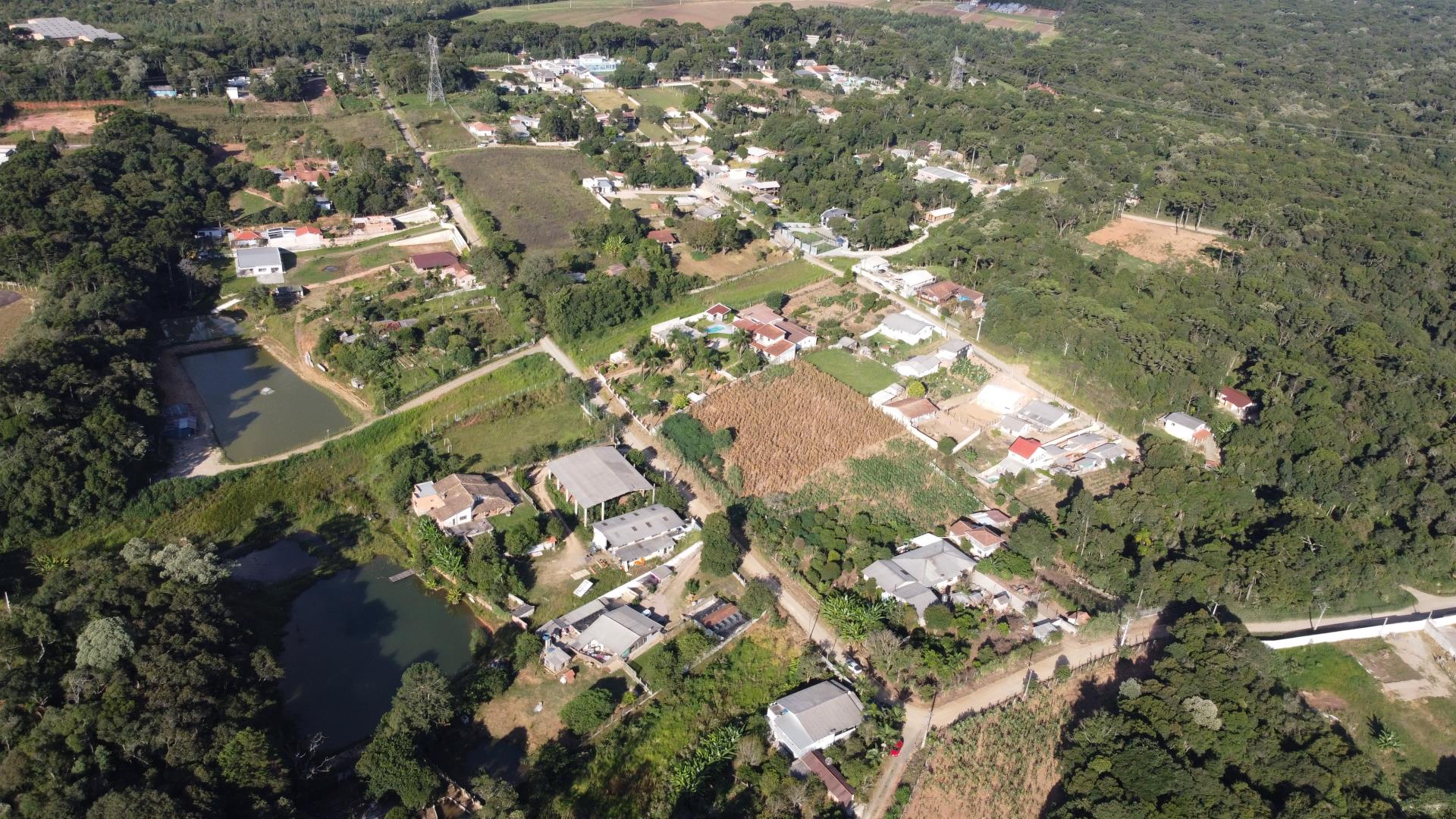 DJI_0416