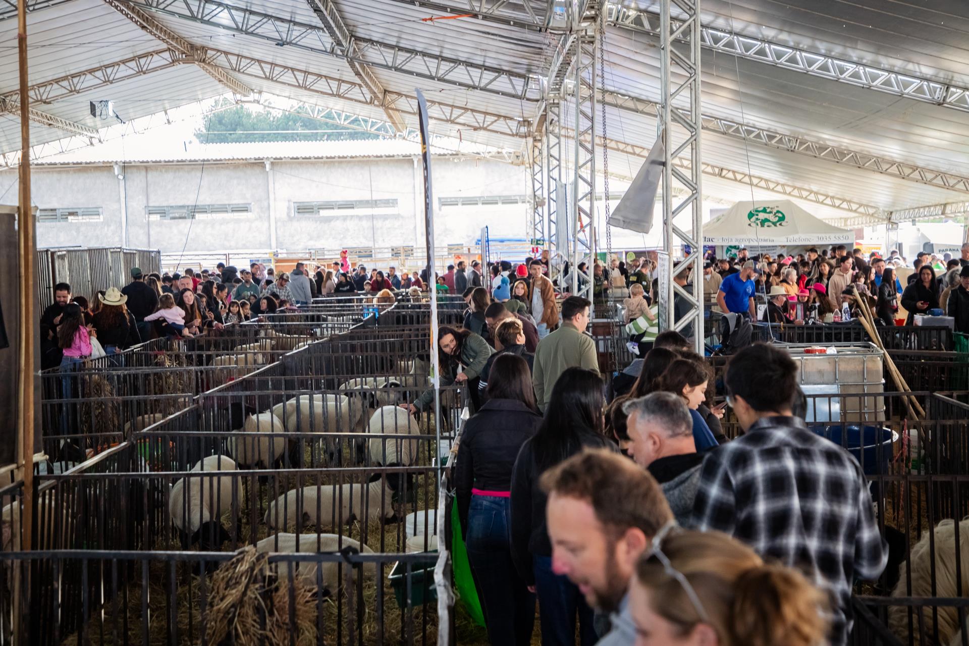 EXPOFAZENDA (27-09-25)-35