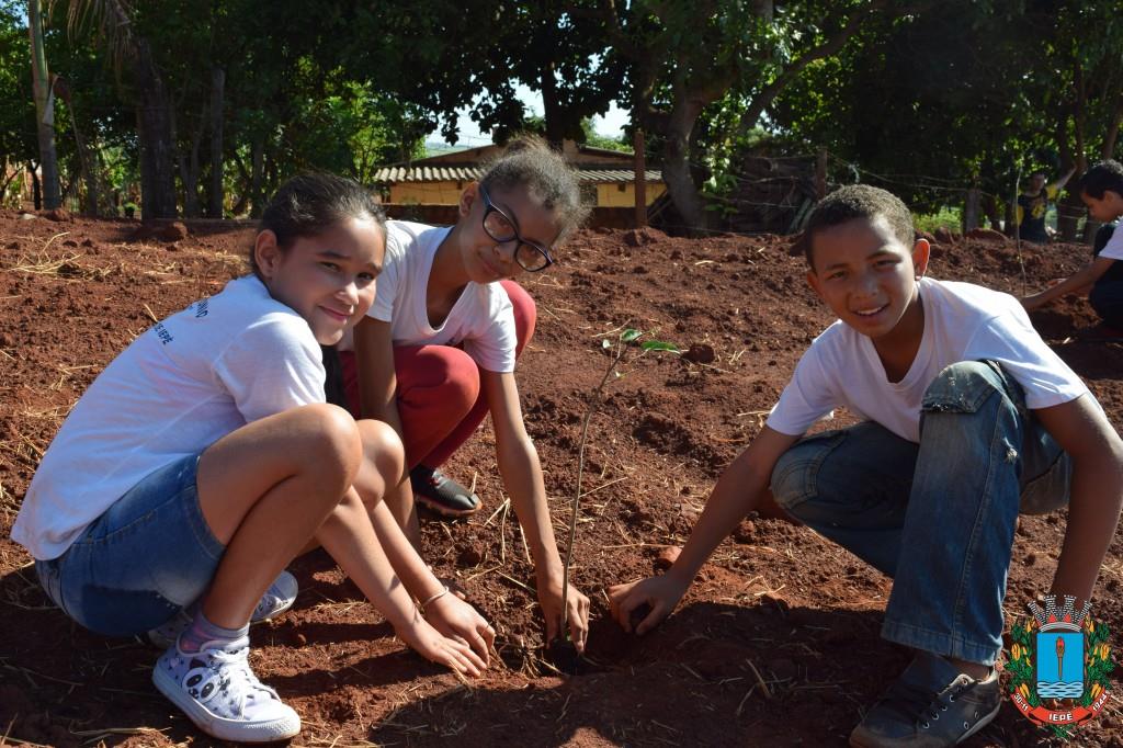 Alunos realizam plantio de árvores no Conjunto Habitacional Iepê H