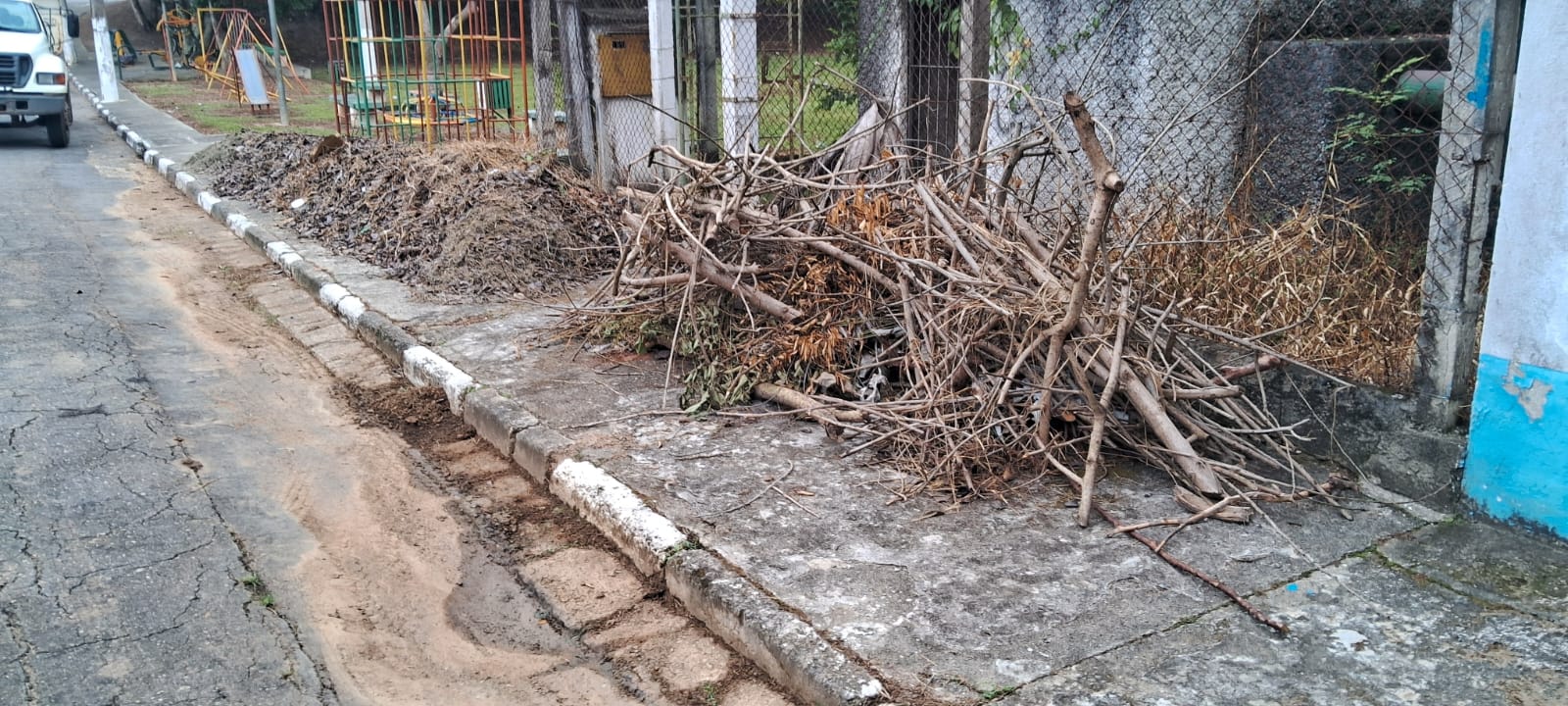 WhatsApp Image 2025-04-01 at 17.36.43