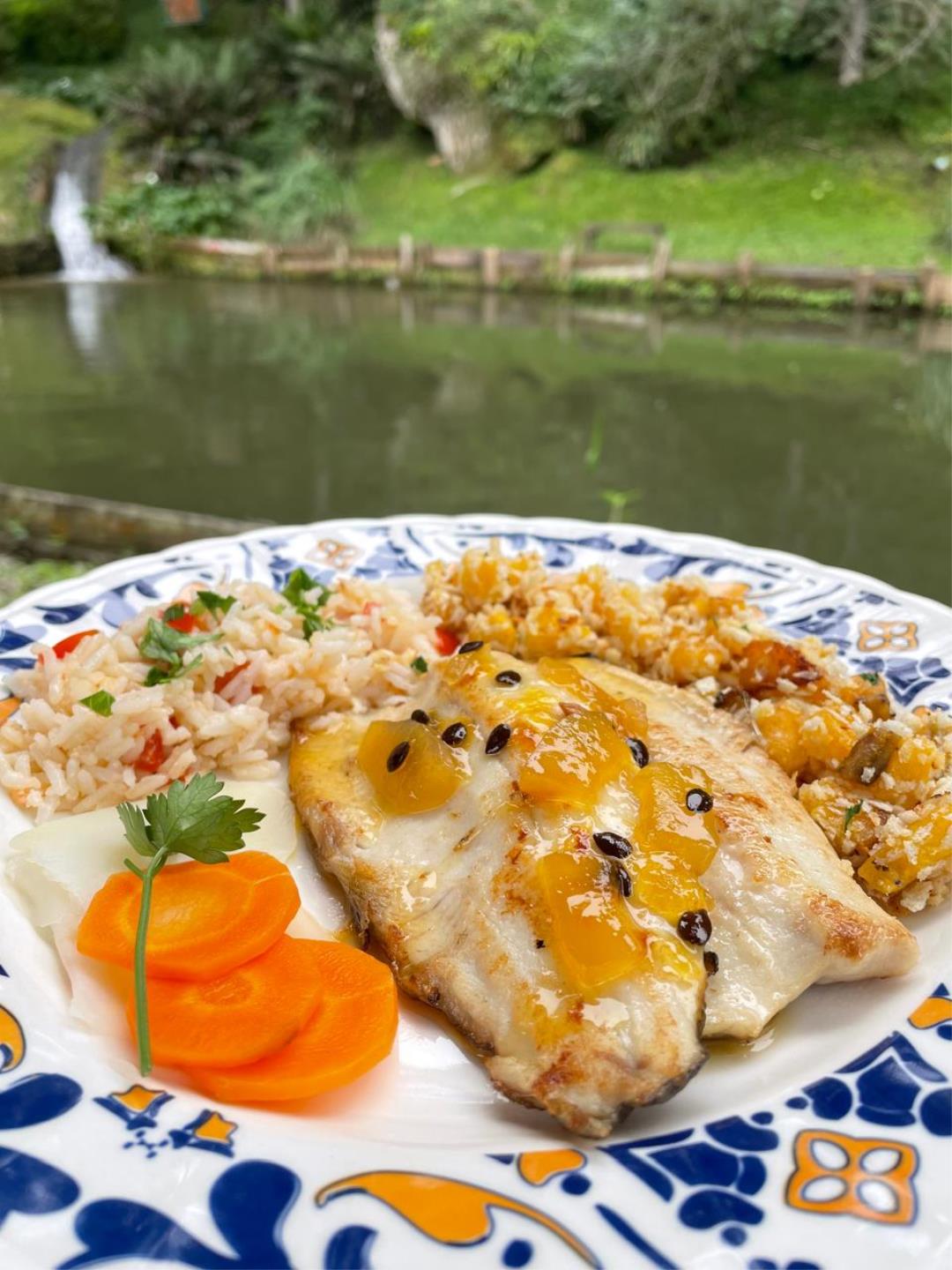 WhatsApp Image 2026-04-08 at 16.51.09