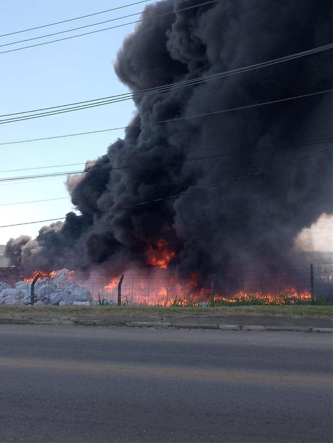 WhatsApp Image 2026-01-12 at 17.38.14 (1)