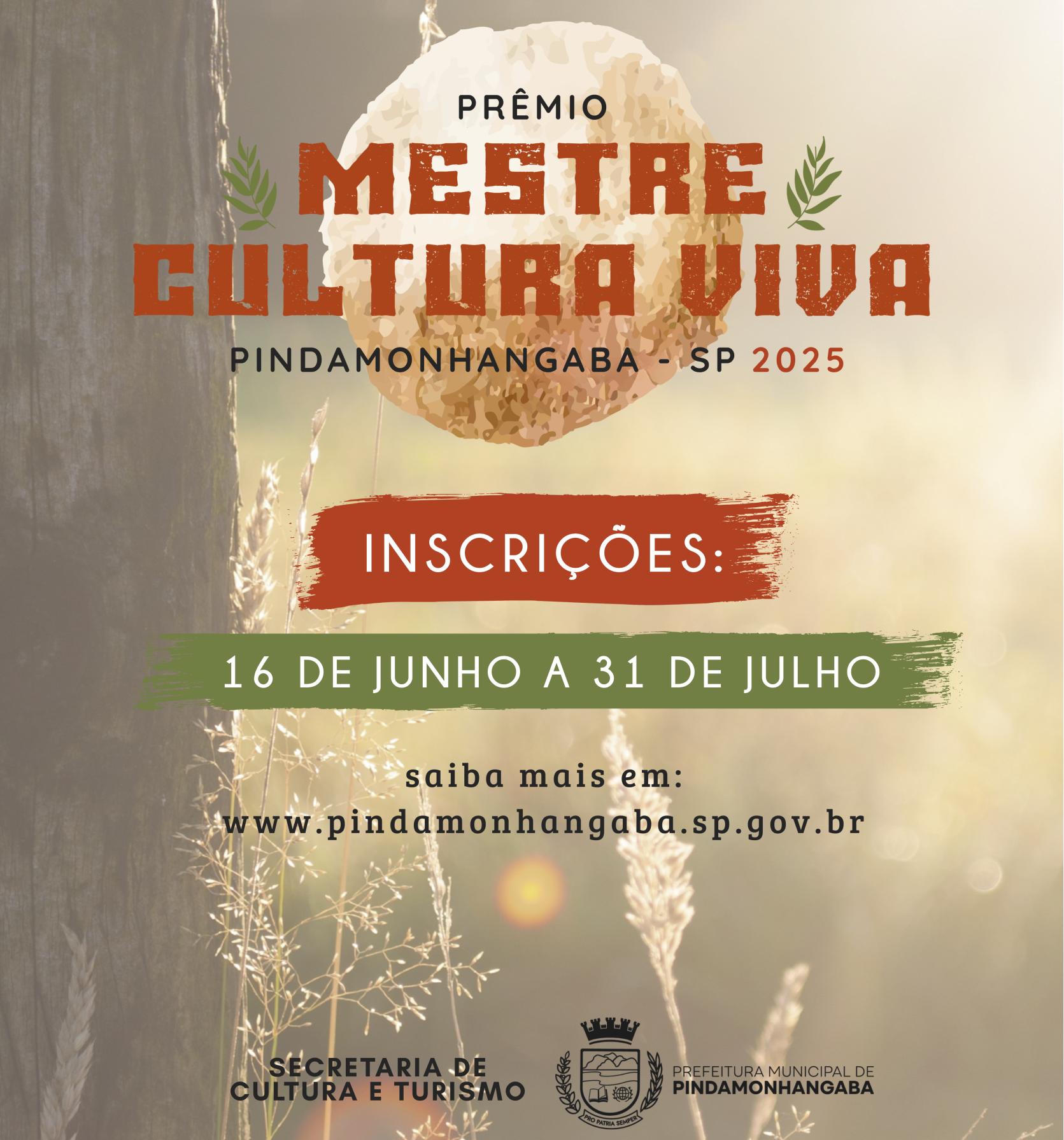 Mestre Cultura Viva 2025