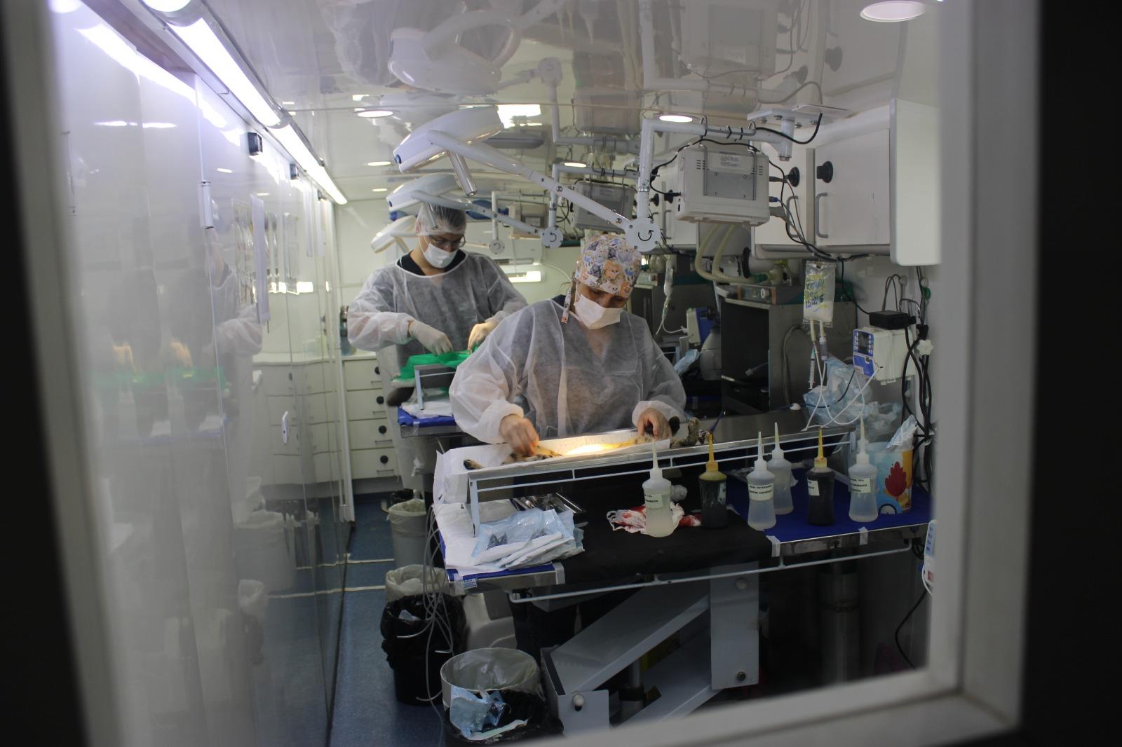 WhatsApp Image 2025-12-19 at 15.24.01