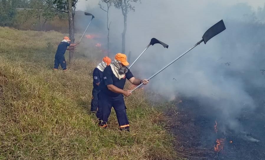 WhatsApp Image 2025-12-19 at 15.47.21