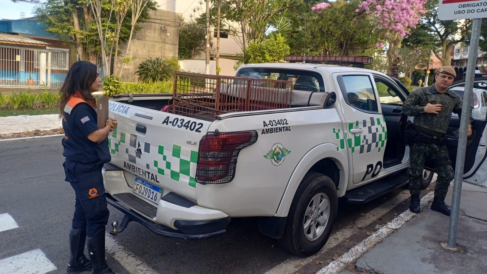 WhatsApp Image 2025-12-19 at 15.47.23