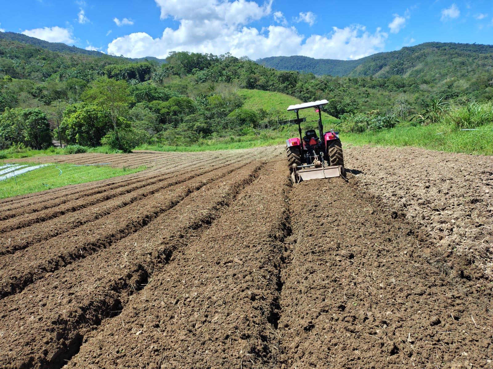 WhatsApp Image 2025-12-19 at 15.54.30