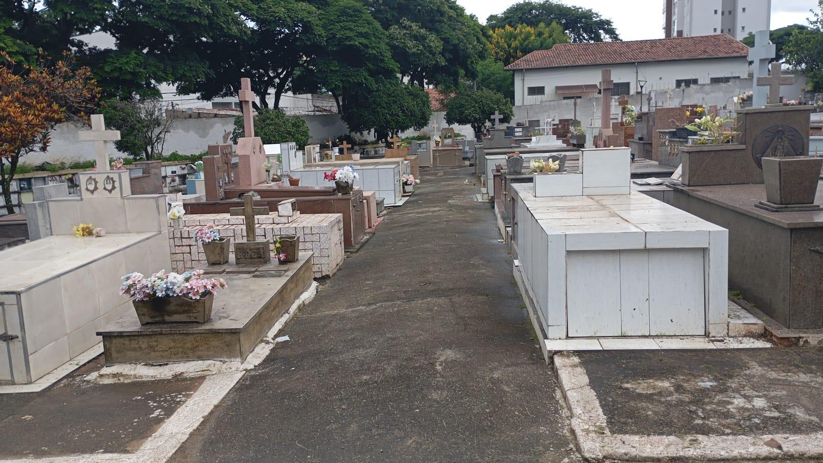 WhatsApp Image 2026-02-11 at 16.51.47